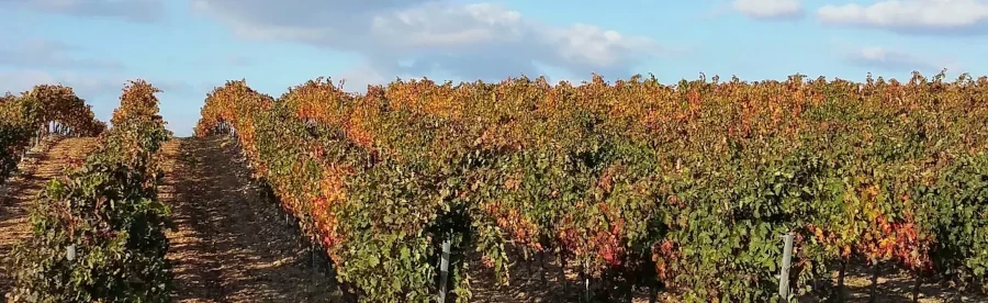 Gasolineras en la provincia de La Rioja